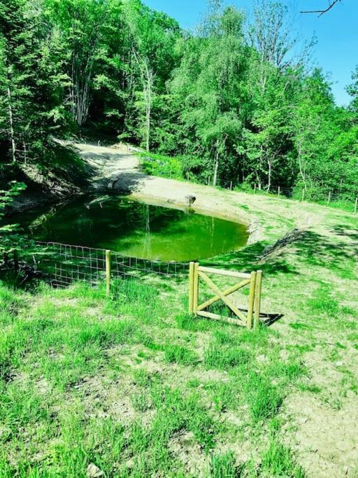 Chalet En Foret Avec Etang. Saint-Etienne-les-Remiremont Kültér fotó