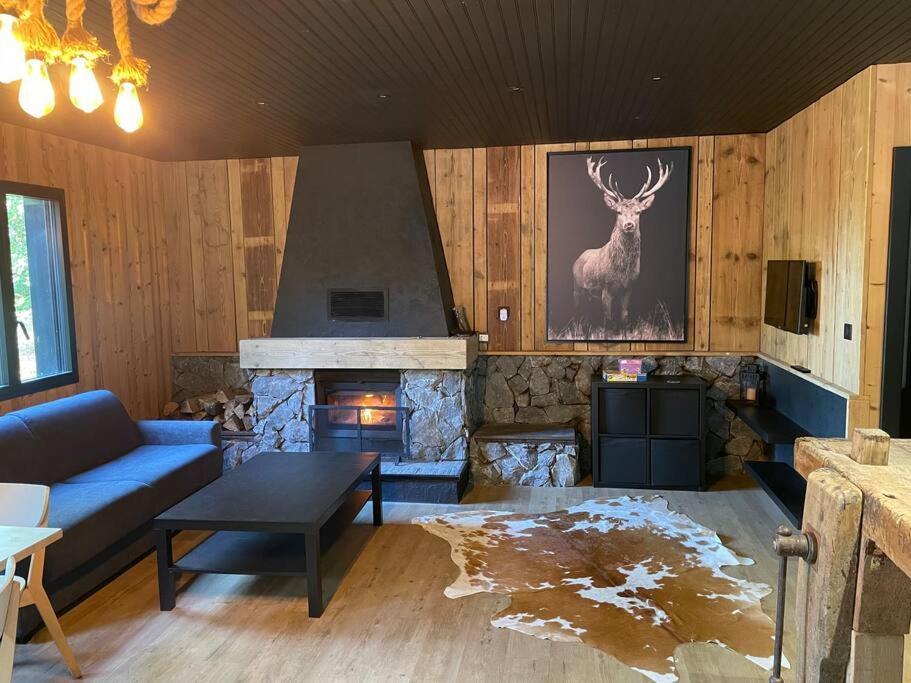 Chalet En Foret Avec Etang. Saint-Etienne-les-Remiremont Kültér fotó