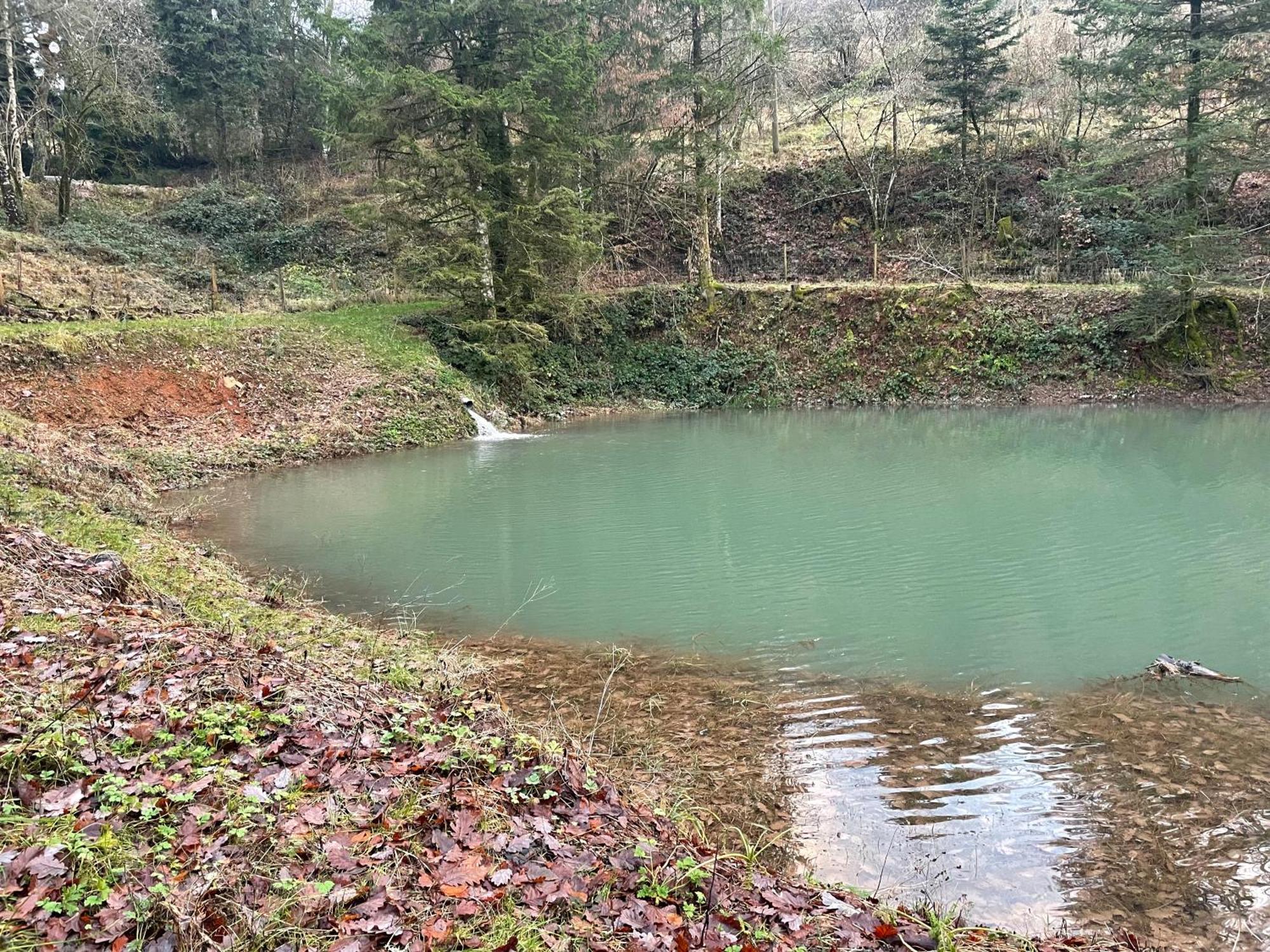 Chalet En Foret Avec Etang. Saint-Etienne-les-Remiremont Kültér fotó